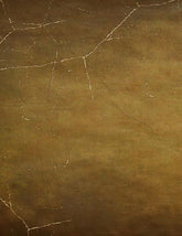 Abstract Brown With Spider Web For Halloween Photography Backdrop J-0718 Shopbackdrop