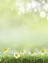 Bokeh Flowers In Sunshine Spring Background Photography Backdrop Shopbackdrop