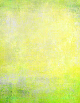 Champagne Yellow With Yellow Green In Edges Abstract Photography Backdrop Shopbackdrop