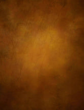 Dark Goldenrod Texture Printed Photography Backdrop Shopbackdrop