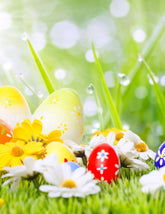 Easter Colorful Eggs And Flowers On Grass With Sunshine For Holiday Photography Backdrop Shopbackdrop