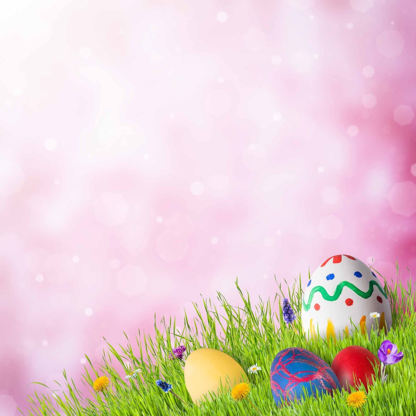 Easter Eggs On Grass With Bokeh Photography Backdrop Shopbackdrop