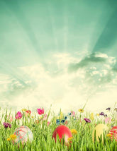 Easter Eggs On Gress With Sunshine For Holiday Photography Backdrops J-0550 Shopbackdrop