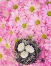 Eggs In Basket On Flower Background For Easter Photography Backdrop Shopbackdrop