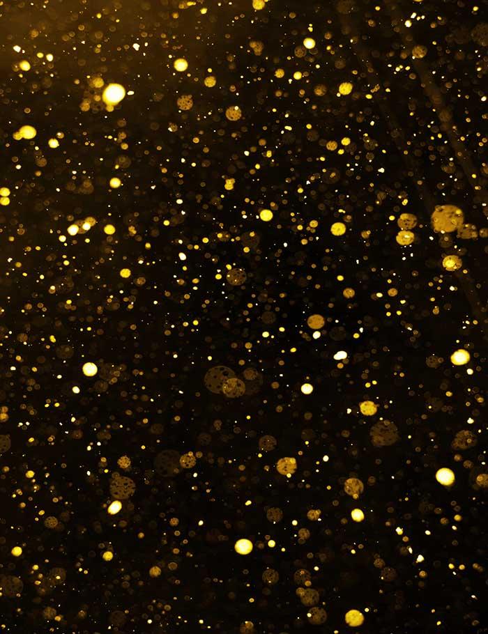 Golden Sparkle With Black Background For Holiday Photography Backdrop –  Shopbackdrop