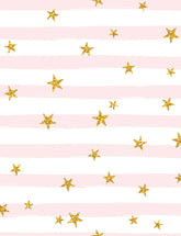Golden Stars Printed Pinks Stripes Photography Backdrop Shopbackdrop