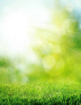 Green Grass In Bokeh Sunshine For Baby Photography Backdrop Shopbackdrop