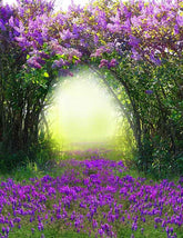 Magic Spring With Purple Flower Photography Backdrop J-0516 Shopbackdrop