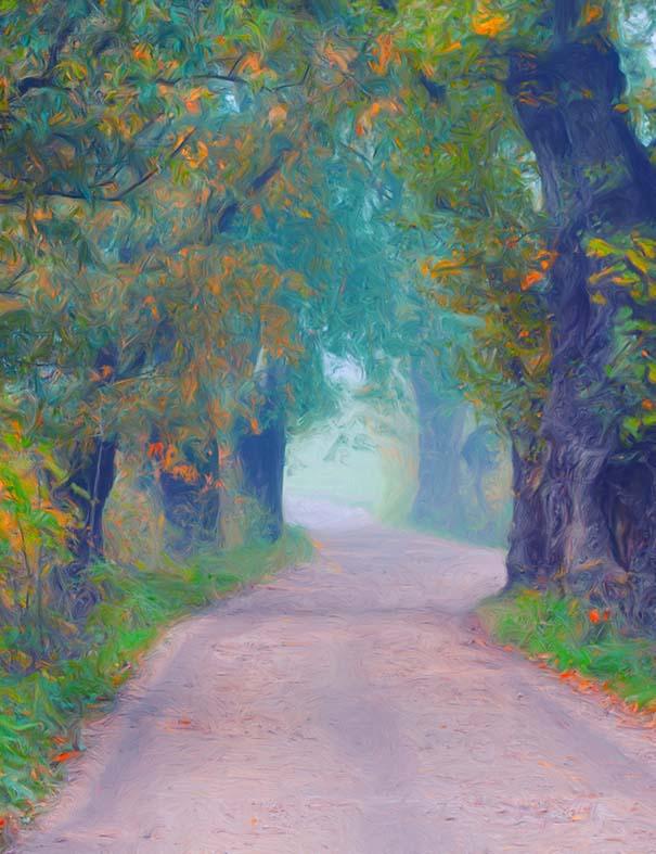 Oil Painted Autumn Road With Trees Photography Backdrop N-0078 Shopbackdrop