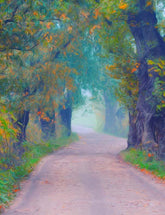 Oil Painted Autumn Road With Trees Photography Backdrop N-0078 Shopbackdrop