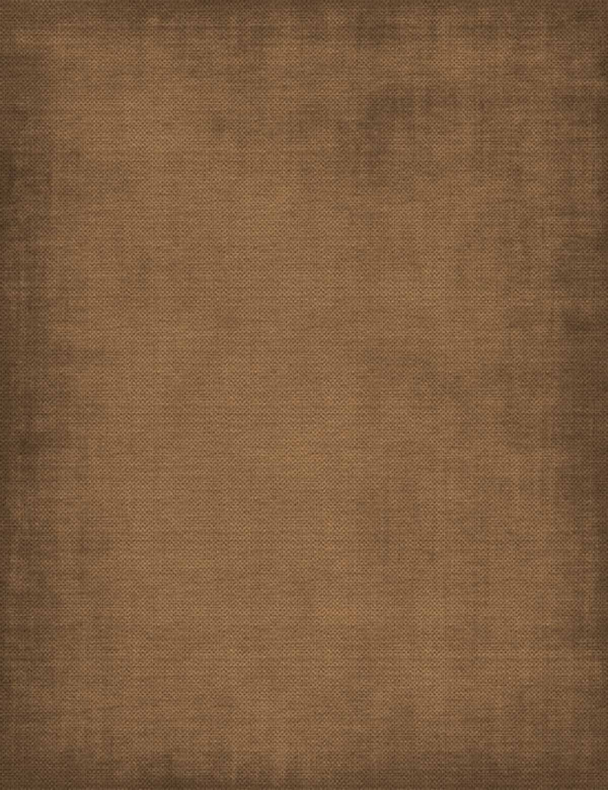 Old Master Bronze Color Fabric Texture Photography