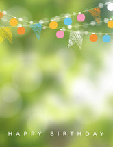 Party Flags With Green Bokeh Sparkle Backdrop For Photography Shopbackdrop
