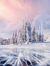 Pine Forest Covered Snow With Ice River Photography Backdrop J-0200 Shopbackdrop
