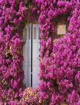 Purple Flowers Around The Wood Door For Wedding Photo Backdrop Shopbackdrop