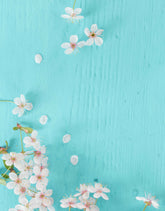 Beautiful Pink Cherry Flowers On Turquoise Blue Wood Board Backdrop Shopbackdrop