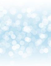 Silver Sparkles Bokeh For Holiday Photography Backdrop Shopbackdrop