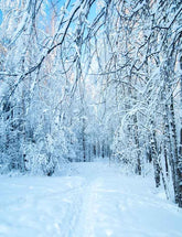 Snow-covered Forest Winter Landscape Photography Backdrop N-0058 Shopbackdrop
