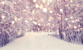 Winter Forest Covered With Snow And Gold Sparkle For Christmas Holiday Backdrop Shopbackdrop