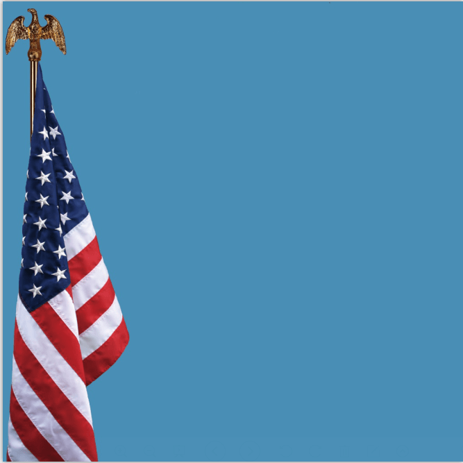 Quick Payment Shopbackdrop