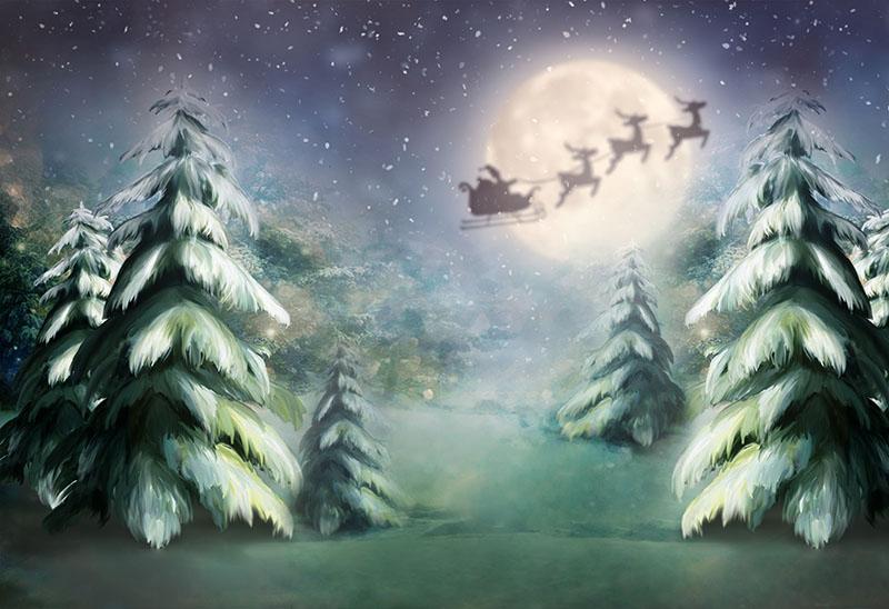 Christmas Pine Tree And Winter Night For Christmas Holiday Backdrop G-1198 Shopbackdrop