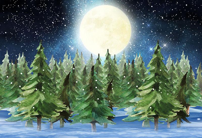 Snow Night Pine Forest For Christmas Backdrop G-1205 Shopbackdrop