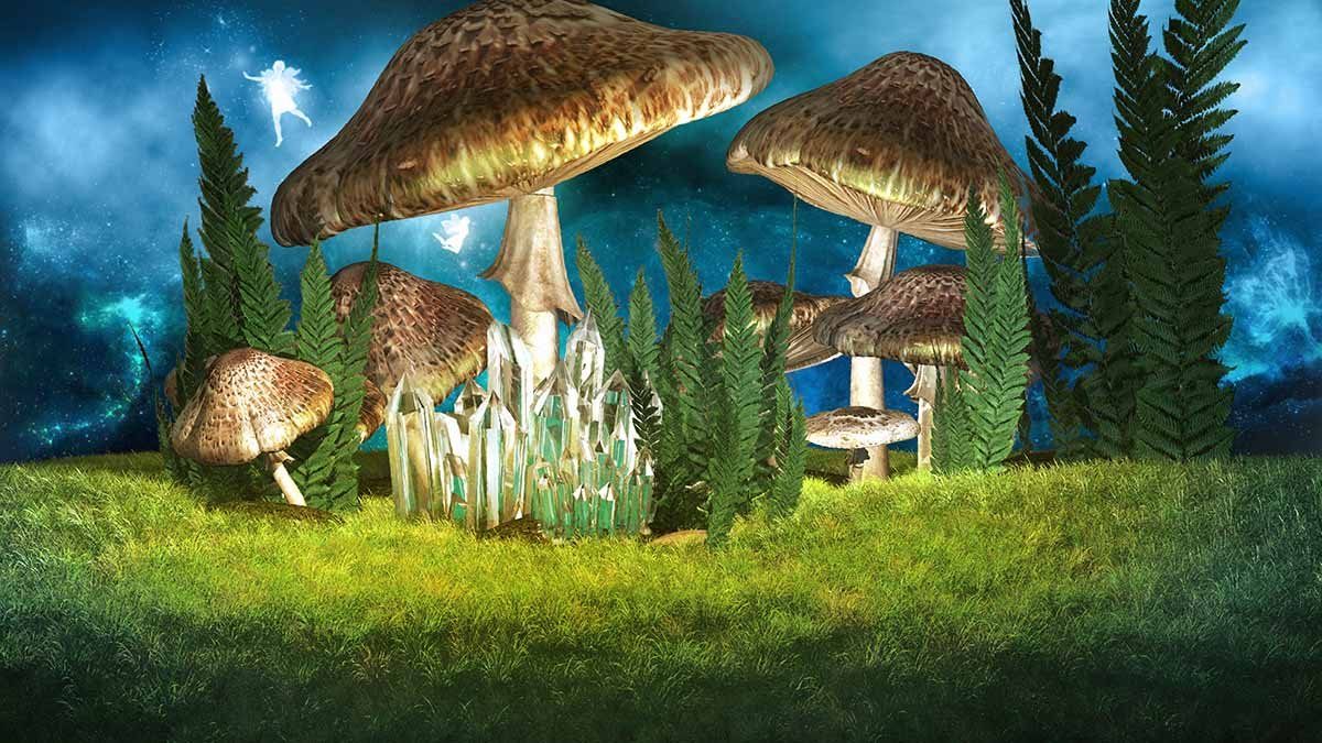 Huge Mushrooms On Grass Photography Backdrop Shopbackdrop