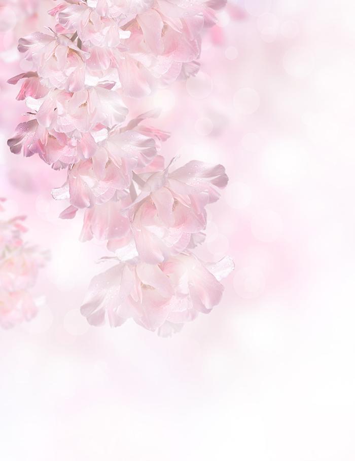 Painted Pink Spring Flowers Over The Bokeh Background Photography Shopbackdrop