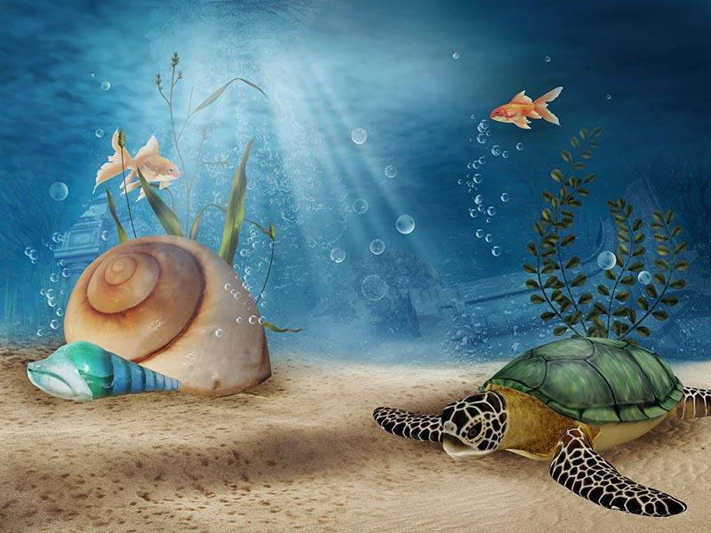 Snail Sea Turtle Under The Sea For Summer Photography Backdrop  J-0384 Shopbackdrop