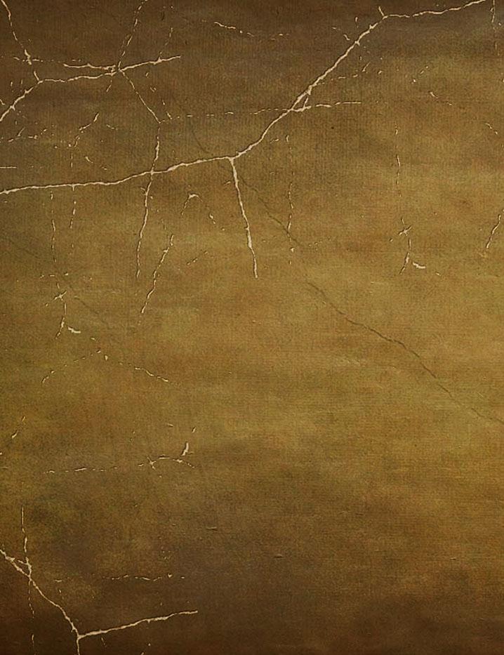 Abstract Brown With Spider Web For Halloween Photography Backdrop J-0718 Shopbackdrop