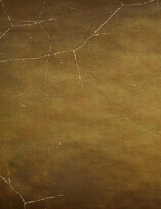 Abstract Brown With Spider Web For Halloween Photography Backdrop J-0718 Shopbackdrop
