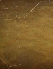 Abstract Brown With Spider Web For Halloween Photography Backdrop J-0718 Shopbackdrop