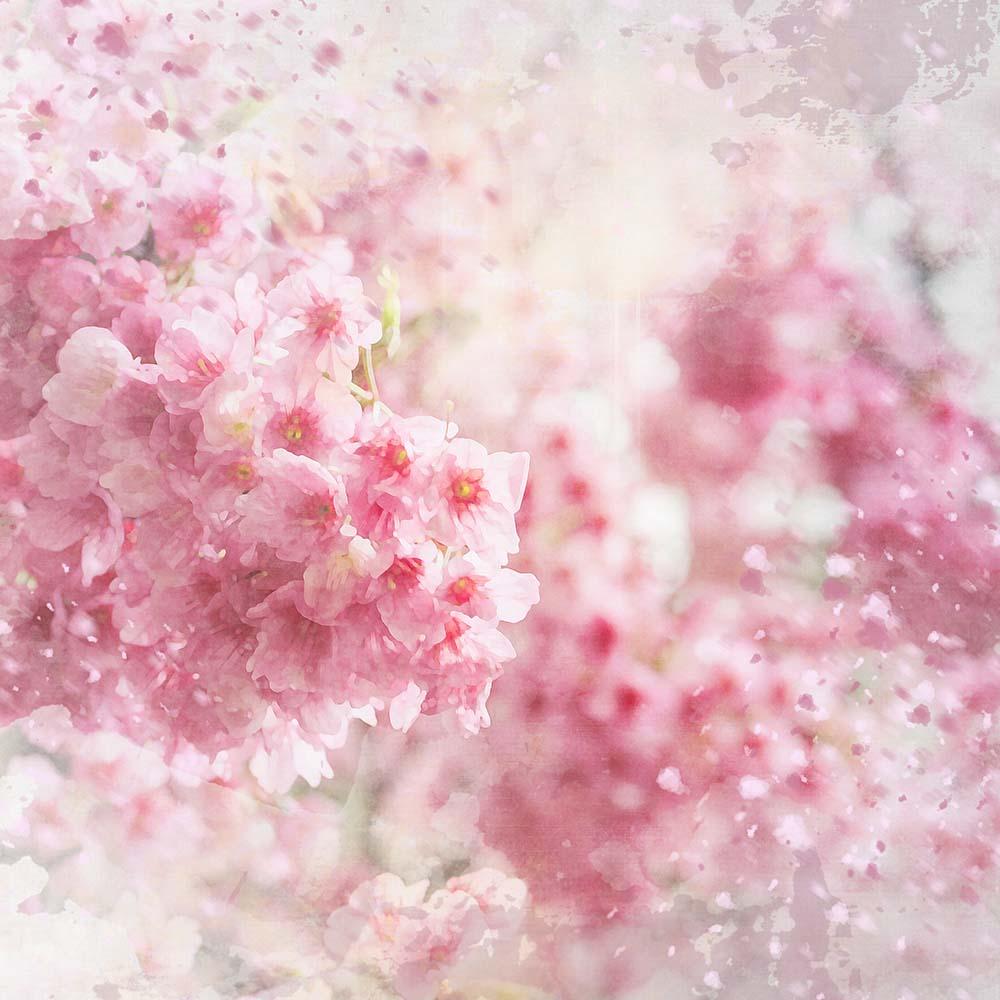 Abstract Cherry Flowers Bokeh Backdrop For Baby Spring Photography Shopbackdrop