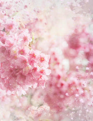 Abstract Cherry Flowers Bokeh Backdrop For Baby Spring Photography Shopbackdrop