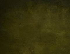 Abstract Olive Printed Old Master Backdrop For Photography J-0785 Shopbackdrop