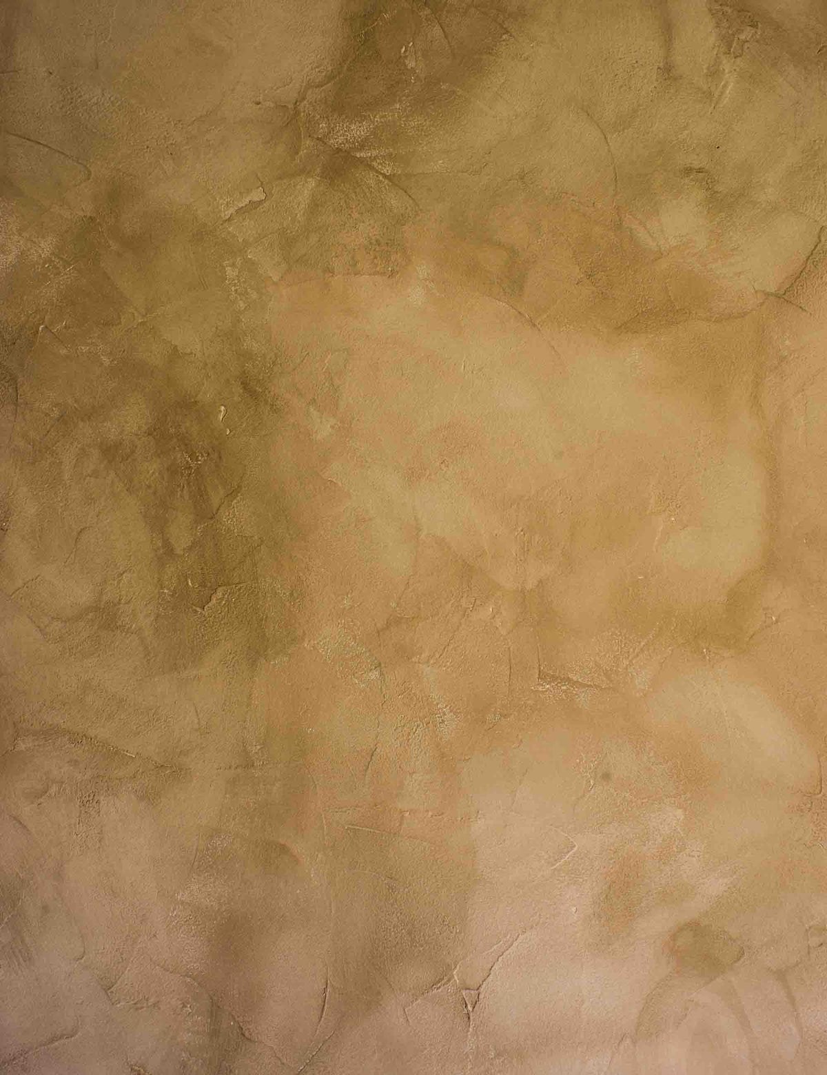 Abstract Pale Ocre Old Master Vintage Wall Backdrop Shopbackdrop