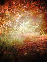 Autumn Forest Abstract Photography Backdrop For Halloween J-0216 Shopbackdrop