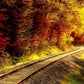 Autumn Froest With Railroad Photography Backdrop J-0449 Shopbackdrop