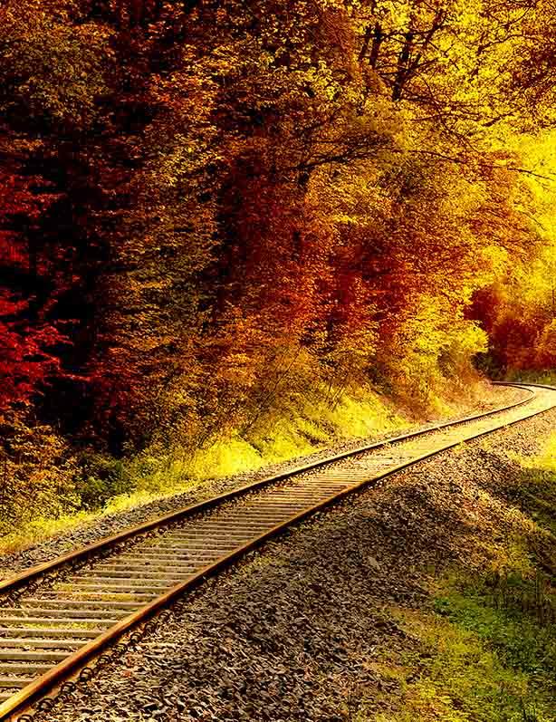 Autumn Froest With Railroad Photography Backdrop J-0449 Shopbackdrop