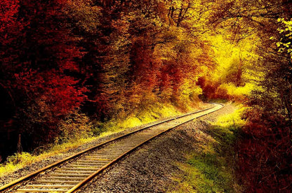 Autumn Froest With Railroad Photography Backdrop J-0449 Shopbackdrop