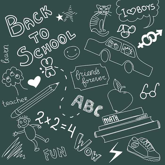 Back To School Doodles On Green Chalkboard Photography Backdrop J-0191 Shopbackdrop