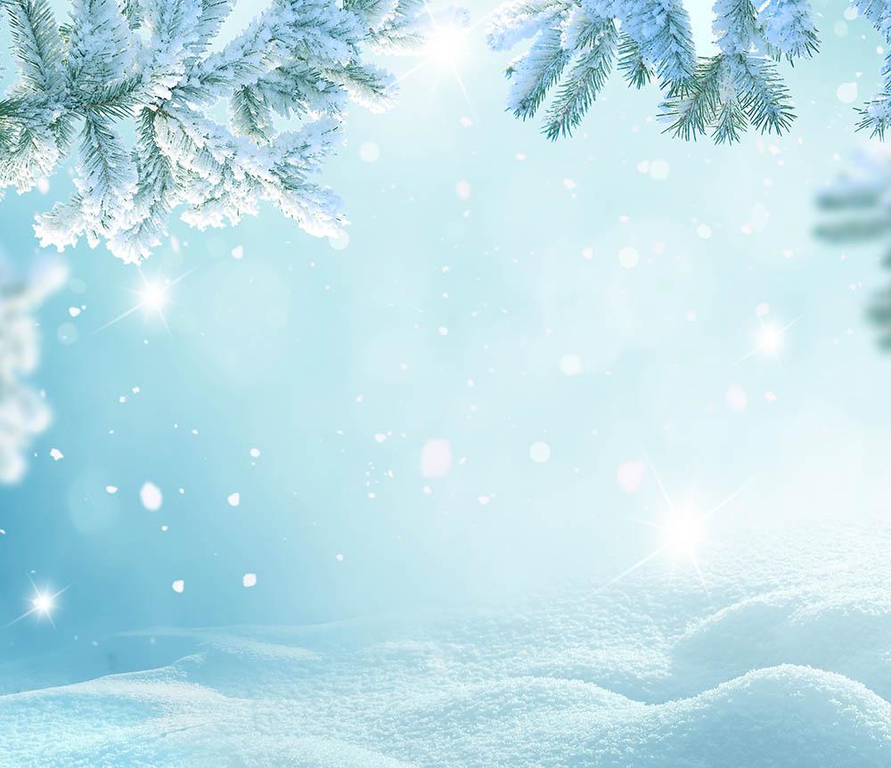 Beautiful Fir Tree Branch Covered With Snow Photography Backdrop N-0027 Shopbackdrop