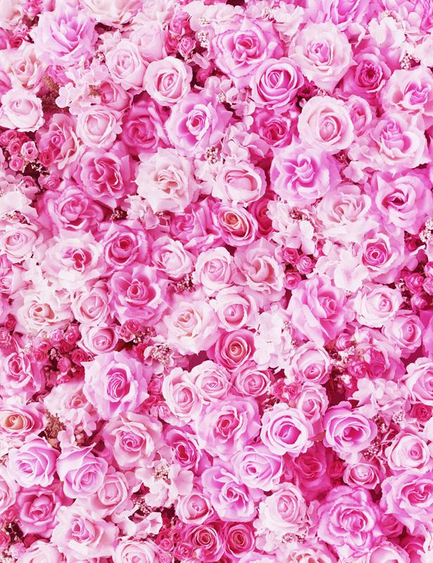 Blooming Pink Rose Flowers Backdrop For Wedding Photography – Shopbackdrop