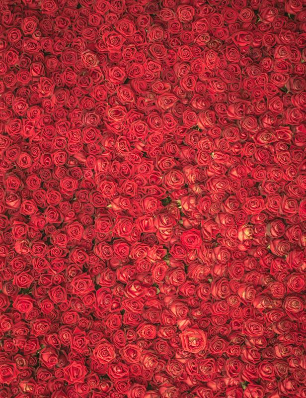 Blooming Red Flowers Made Wall For Wedding Photography Backdrop Shopbackdrop