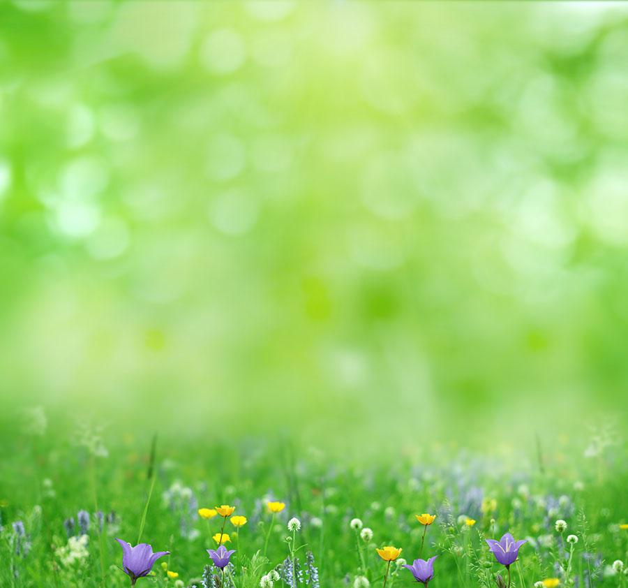 Bokeh Green Background With Wildflower Photography Backdrop J-0474 Shopbackdrop
