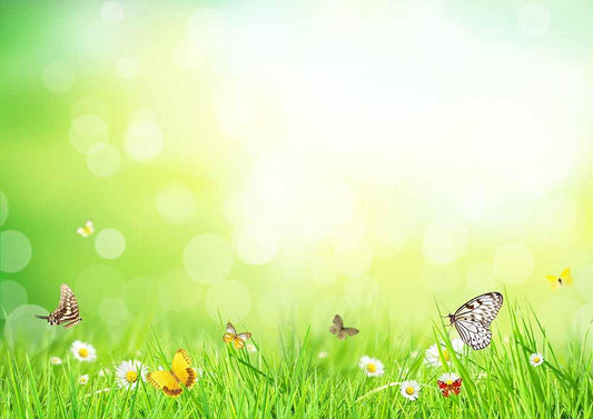 Butterfly White Flower And Grass In Sunshine Bokeh Backdrop For Photo Shopbackdrop