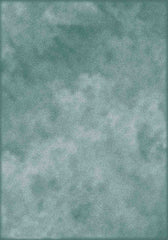 Cadet Blue Printed Old Master Photography Backdrop Shopbackdrop