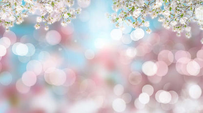 Cherry Blossom With Silver Bokeh Backdrop For Photography Shopbackdrop