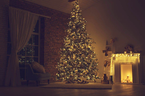 christmas light photo backdrop