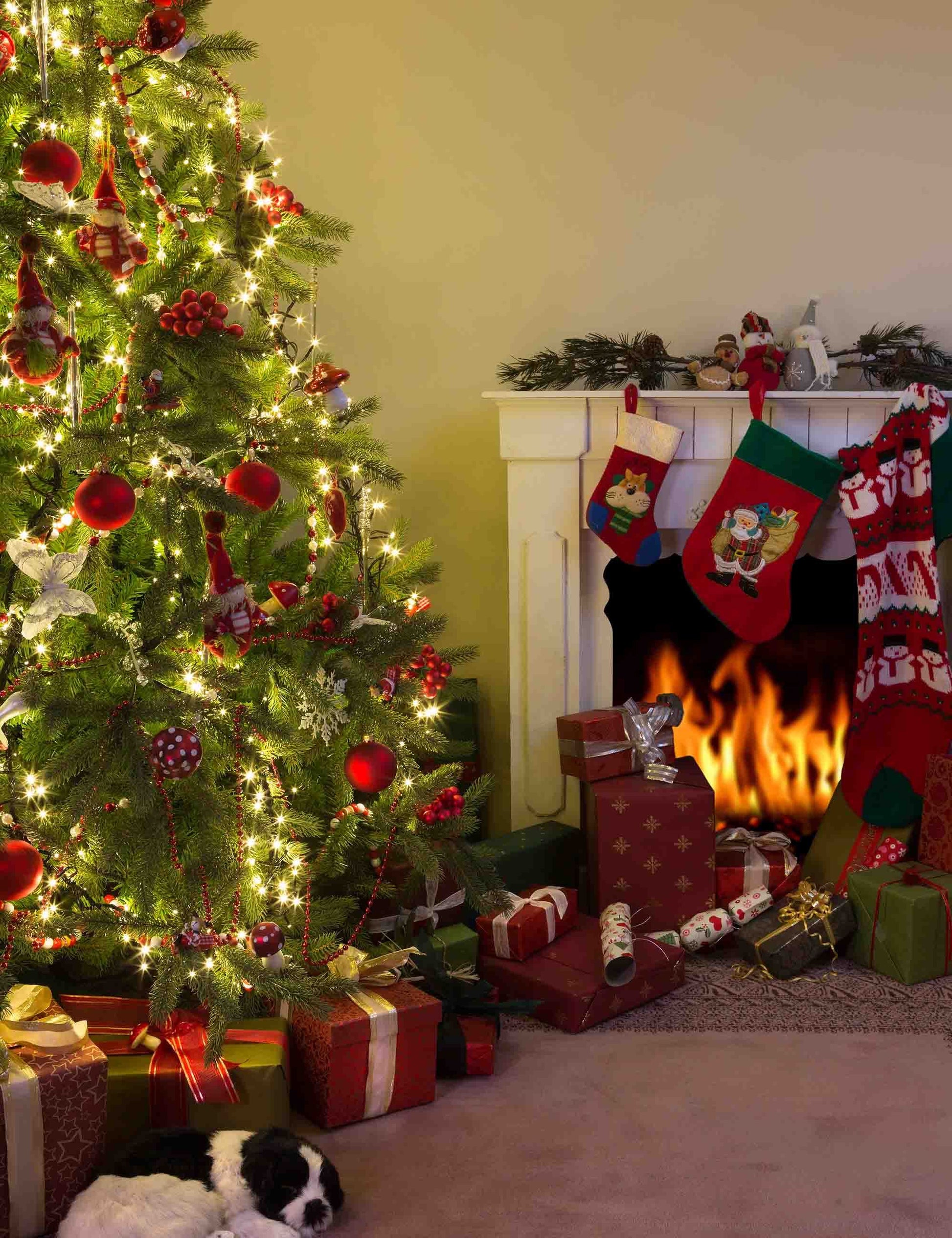 Christmas Tree With Gift And Fireplace For Holiday Photography Backdrop Shopbackdrop