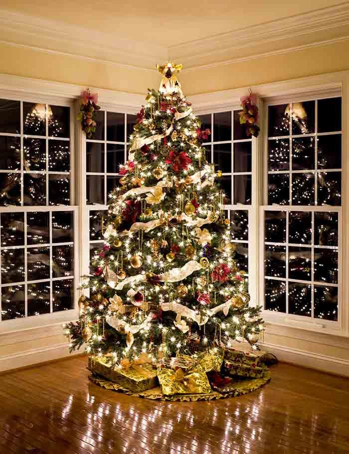 Christmas Tree With Presents And Lights Reflecting In Windows Photography Backdrop J-0261 Shopbackdrop